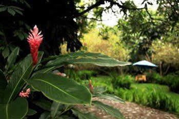 Casa Comalli & Spa Comala Ngoại thất bức ảnh
